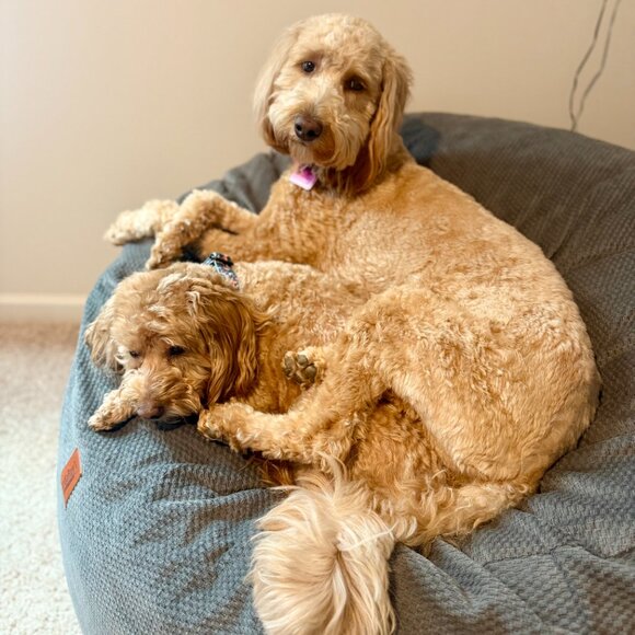 @illinishan IS LIVE!!!! - Picture 6 of 6